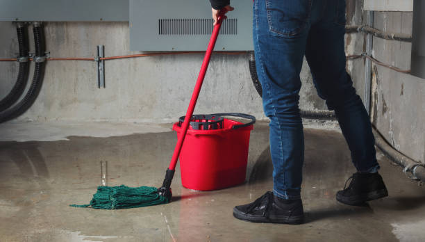 Best Carpet water damage restoration  in Dover Base Housing, DE