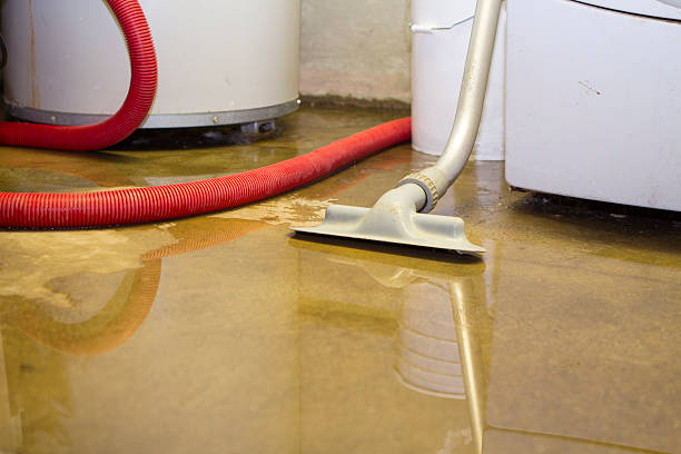 Water damage restoration process in DE