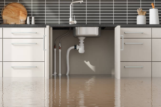 , DE Water damage restoration Company