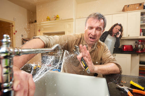 Best Flood damage cleanup  in Dover Base Housing, DE